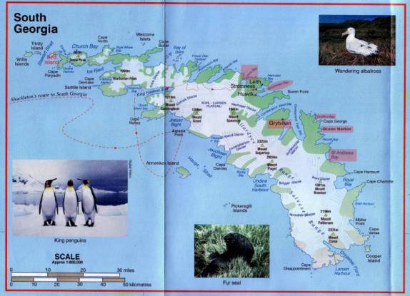 Mapa da Geórgia do Sul, com suas montanhas mais altas, principais bases, animais mais conhecidos e até a rota de Shackleton